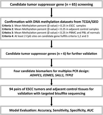 Identification of Hyper-Methylated Tumor Suppressor Genes-Based Diagnostic Panel for Esophageal Squamous Cell Carcinoma (ESCC) in a Chinese Han Population